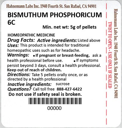 Bismuthum Phosphoricum 6C 5g - Bismuthum Phosphoricum 6C 5g